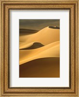 In the Dunes 3 Fine Art Print