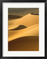 In the Dunes 3 Fine Art Print