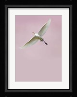 In the Sky 2 Fine Art Print