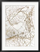 Leaf Skeleton Fine Art Print