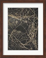 Leaf Skeleton Dark Fine Art Print
