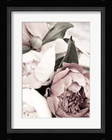 Opulent 1 Fine Art Print