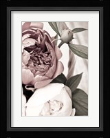 Opulent 2 Fine Art Print