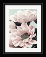 Opulent 3 Fine Art Print