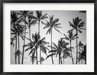 Palm Heaven Fine Art Print