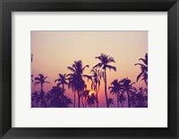 Palm Sky 1 Fine Art Print