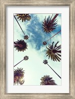 Palm Sky 2 Fine Art Print