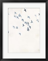 Pigeons Sky Fine Art Print