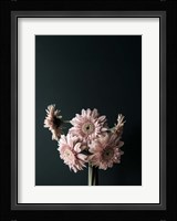 Pink Black Fine Art Print