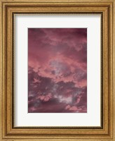 Pink Sky Fine Art Print