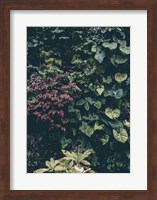 Plant Wall Fine Art Print
