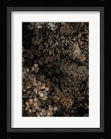 Secret 11 Fine Art Print