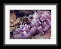 Secret 14 Fine Art Print