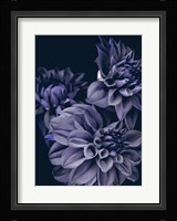 Secret 15 Fine Art Print