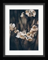 Secret 4 Fine Art Print