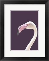 The Flamingo Fine Art Print