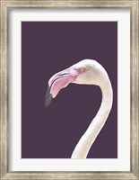 The Flamingo Fine Art Print