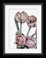 Tulips Bright 2 Fine Art Print