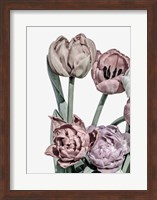 Tulips Bright 2 Fine Art Print