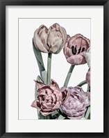 Tulips Bright 2 Fine Art Print