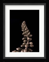 Upwards 2 Fine Art Print