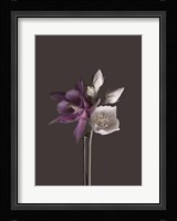 Virtue 2 Fine Art Print