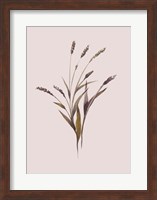 Wheat Fine Art Print