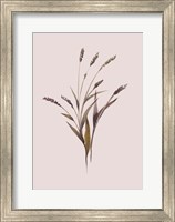 Wheat Fine Art Print