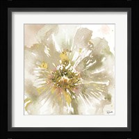 Neutral Watercolor Poppy Close Up I Framed Print
