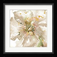 Neutral Watercolor Poppy Close Up II Framed Print