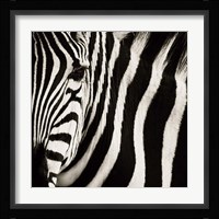 Camouflage I Fine Art Print