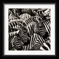 Camouflage II Fine Art Print