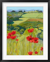 Field of Poppies Fine Art Print