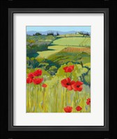 Field of Poppies Fine Art Print