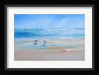 Late Gulls Fine Art Print