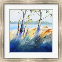 Murray River Bank Fine Art Print