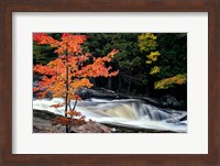 Autumn, Lower Rosseau Falls Fine Art Print
