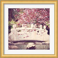 Blush Fine Art Print