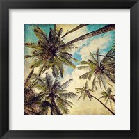 Kauai Island Palms Fine Art Print