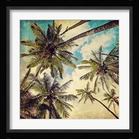 Kauai Island Palms Fine Art Print
