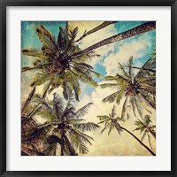 Kauai Island Palms Framed Print