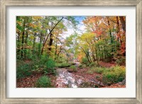 Autumn at Hopkins Pond Fine Art Print
