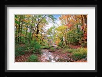 Autumn at Hopkins Pond Fine Art Print