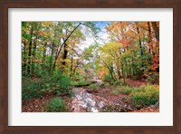 Autumn at Hopkins Pond Fine Art Print