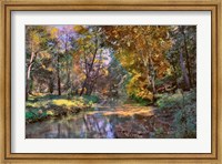 Autumn in the Afternoon Fine Art Print
