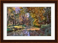 Autumn in the Afternoon Fine Art Print