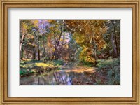 Autumn in the Afternoon Fine Art Print