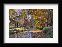 Autumn in the Afternoon Fine Art Print