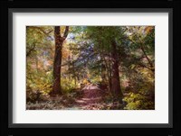 Berlin Park Fine Art Print