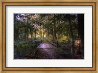 Beyond the Wooden Bridge Fine Art Print